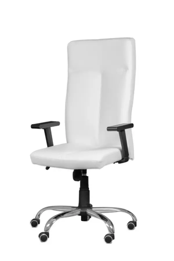 SILLA ESCRITORIO - OFICINA PALADIUM SLN.