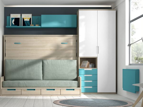 COMPOSICIÓN DE CAMA ABATIBLE CON SOFÁ FRM F603