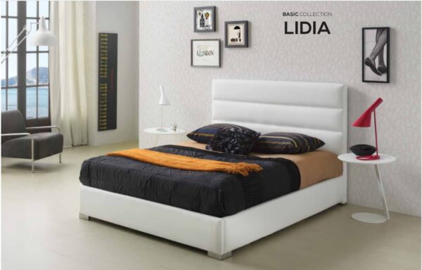 CABEZAL LIDIA LD