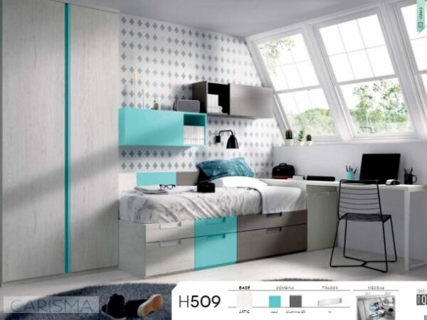 HABITACIÓN JUVENIL RMB509